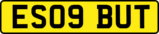 ES09BUT