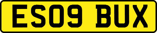 ES09BUX