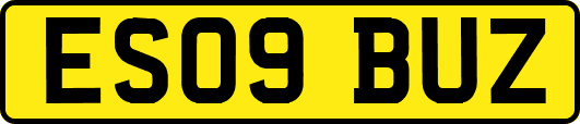 ES09BUZ