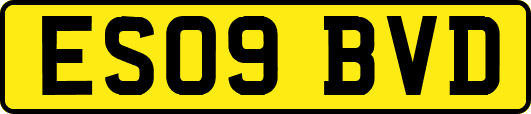 ES09BVD