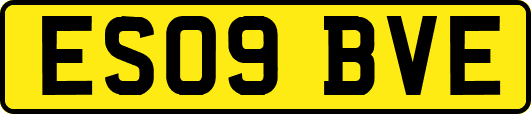 ES09BVE