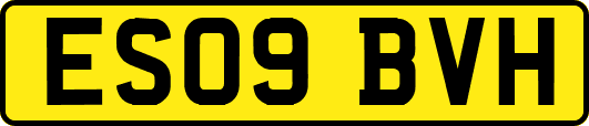ES09BVH