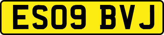 ES09BVJ