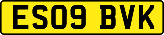 ES09BVK