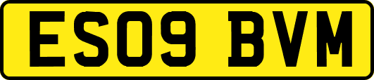 ES09BVM