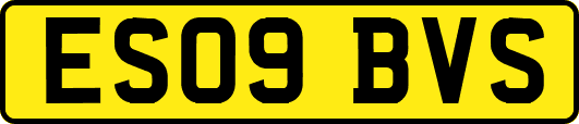 ES09BVS