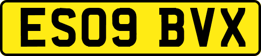ES09BVX