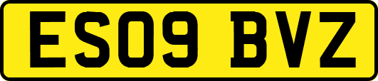 ES09BVZ