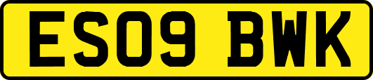 ES09BWK