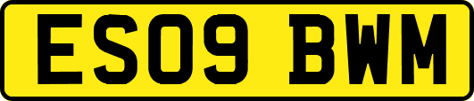 ES09BWM