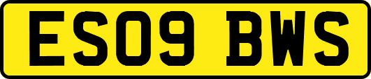 ES09BWS