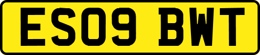 ES09BWT