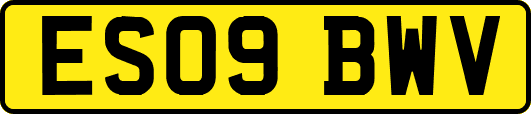 ES09BWV