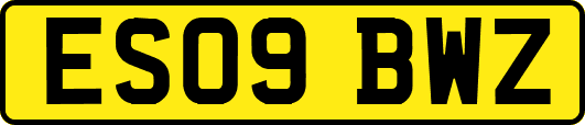 ES09BWZ