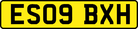 ES09BXH