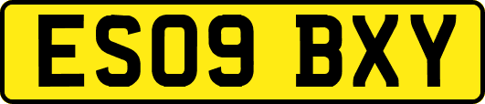 ES09BXY