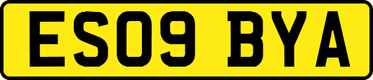 ES09BYA
