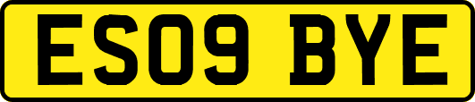 ES09BYE