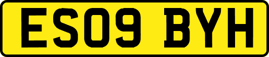 ES09BYH