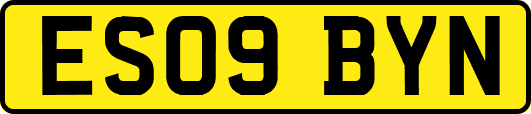 ES09BYN