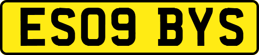 ES09BYS