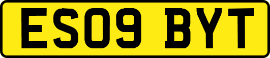 ES09BYT