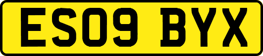 ES09BYX