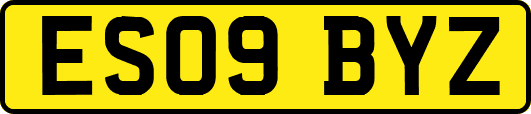 ES09BYZ