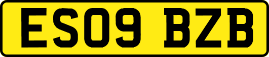 ES09BZB