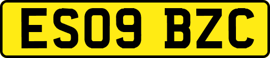 ES09BZC