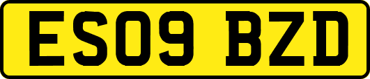 ES09BZD