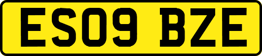 ES09BZE
