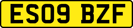 ES09BZF