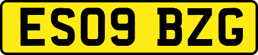 ES09BZG