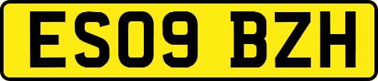 ES09BZH