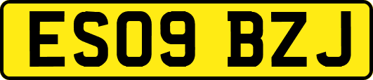 ES09BZJ
