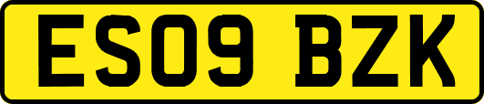 ES09BZK