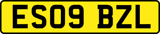 ES09BZL