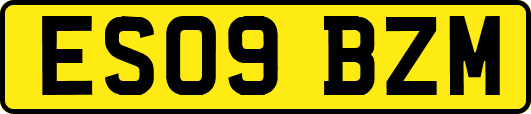 ES09BZM