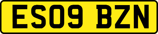 ES09BZN