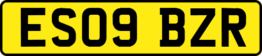 ES09BZR