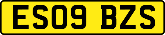 ES09BZS