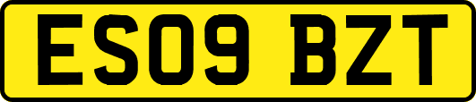 ES09BZT