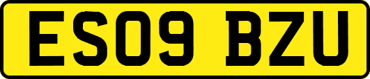 ES09BZU