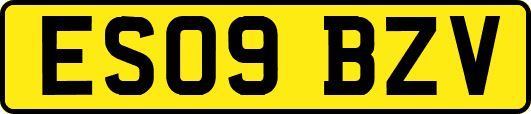 ES09BZV