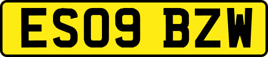 ES09BZW