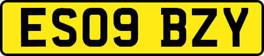 ES09BZY