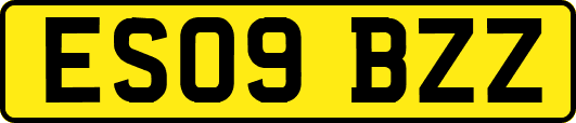 ES09BZZ