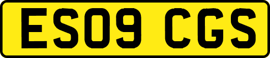 ES09CGS