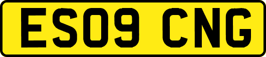 ES09CNG